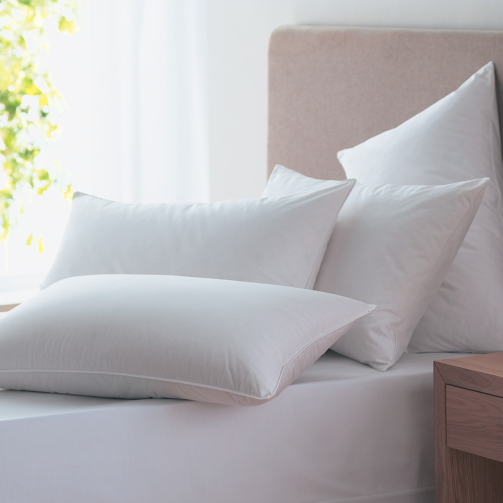 Oreiller Plumes et duvets d'Oie