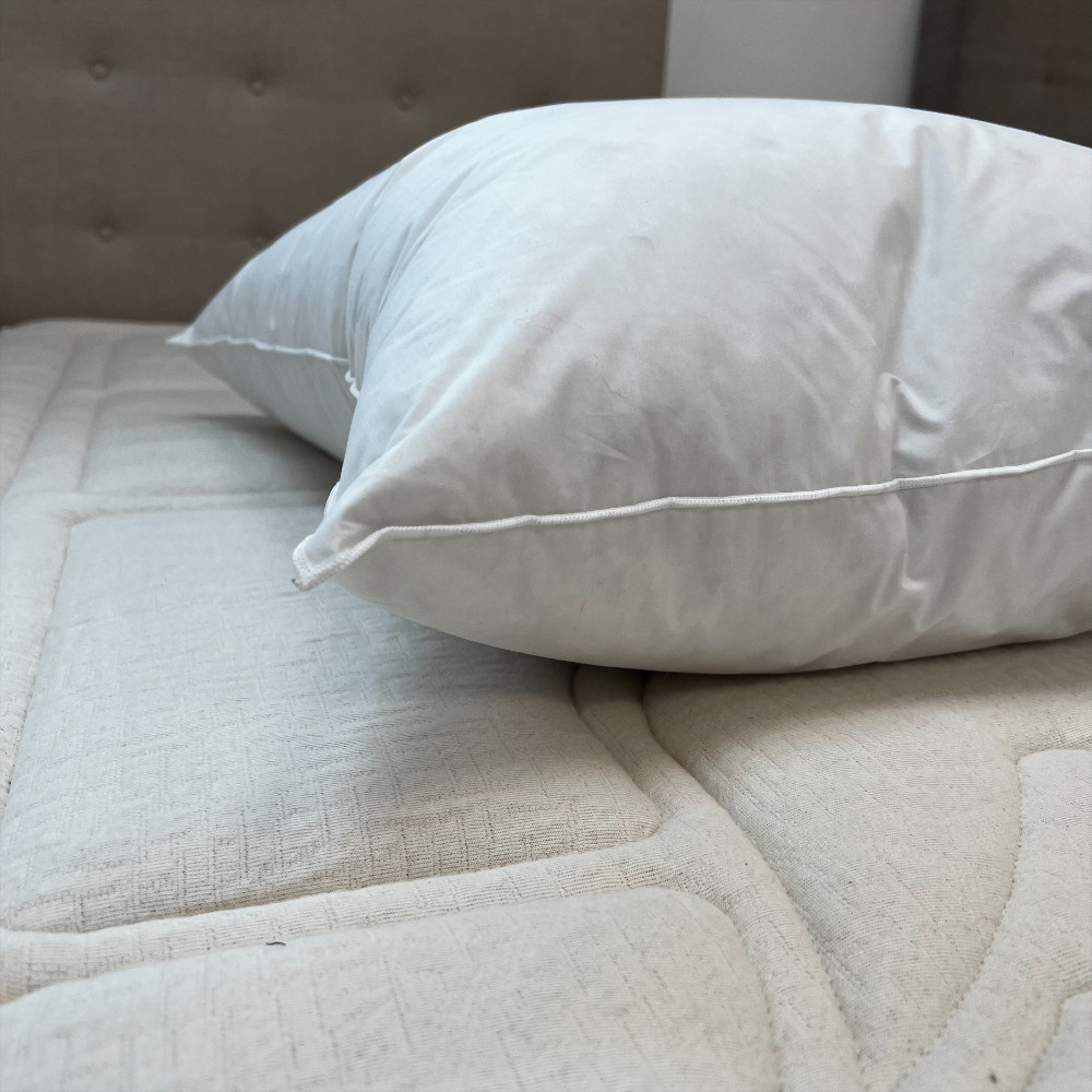 Oreiller souple duvet d'oie Moldavie 90% - Dumas Paris