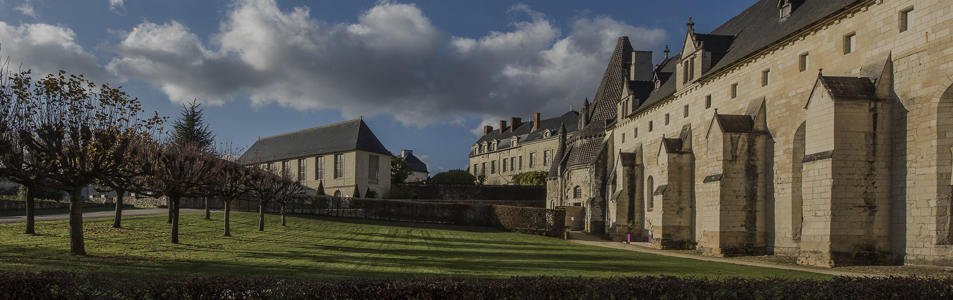 Biosense & Fontevraud