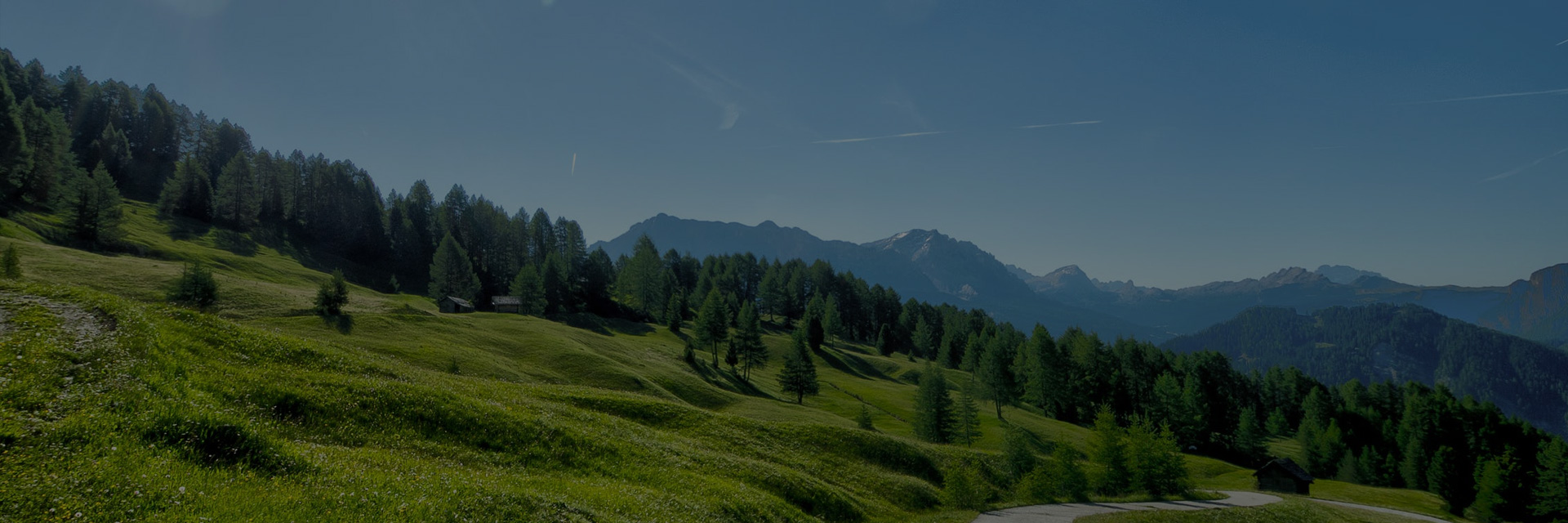 Foire Bio Méaudre Vercors 1er  et 02 Juillet 2023