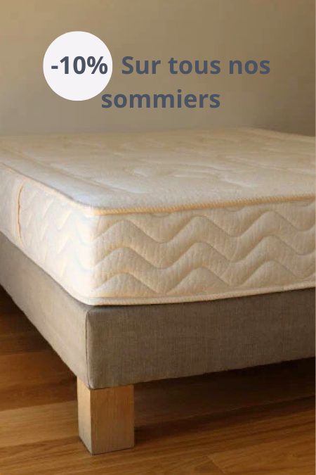 Sommiers Biosense