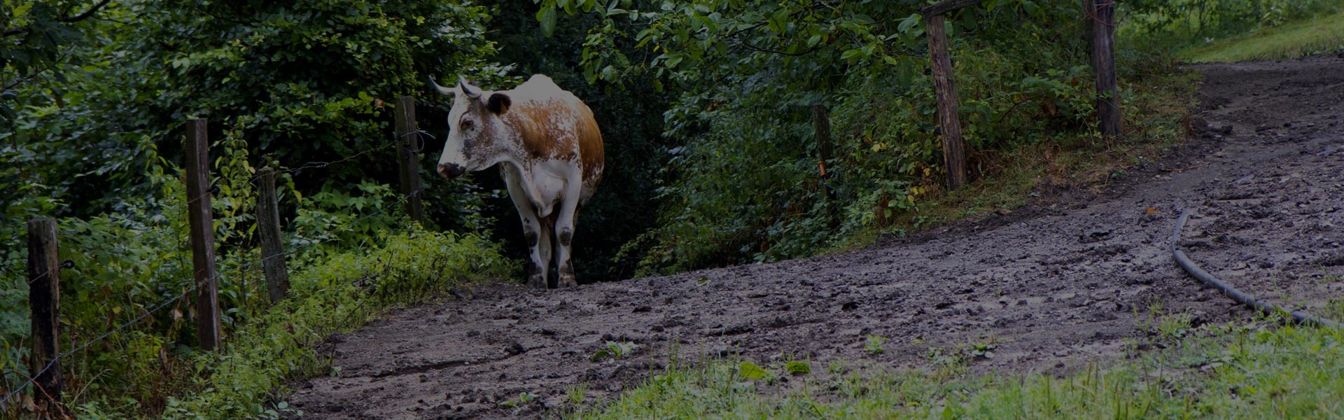 Ferme Humbert