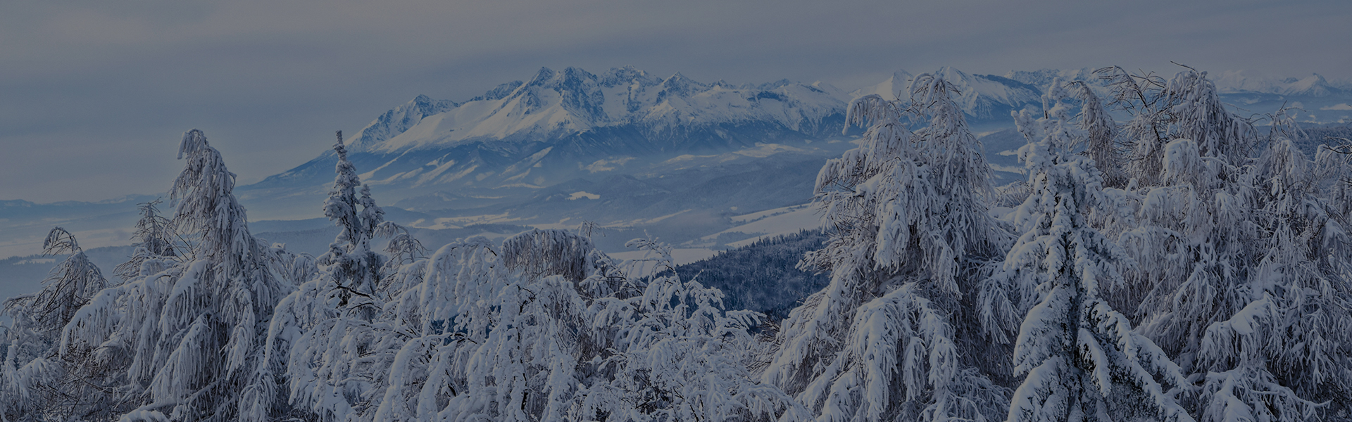 Chalet de la source