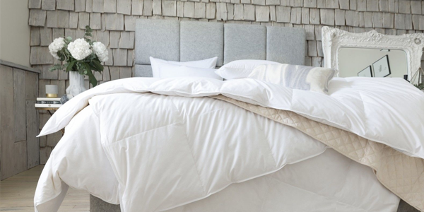 Couette et oreiller Fine Bedding